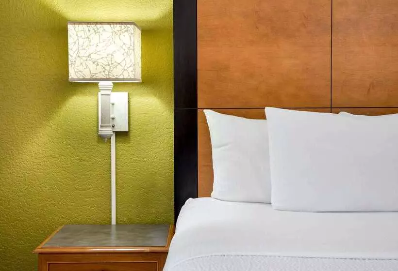 هتل La Quinta By Wyndham Greenville Haywood