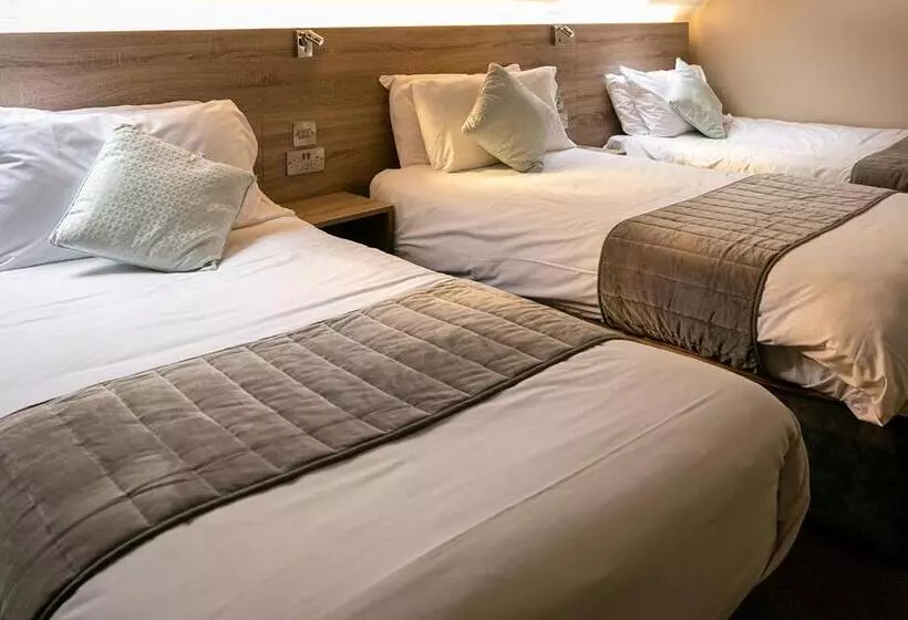 酒店 Tralee Townhouse