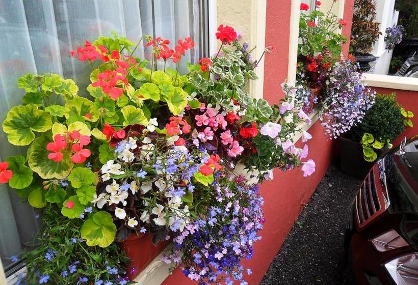 膳宿费 Achill House