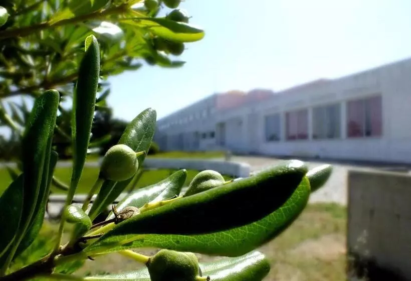 ユースホステル Hi Almograve – Pousada De Juventude