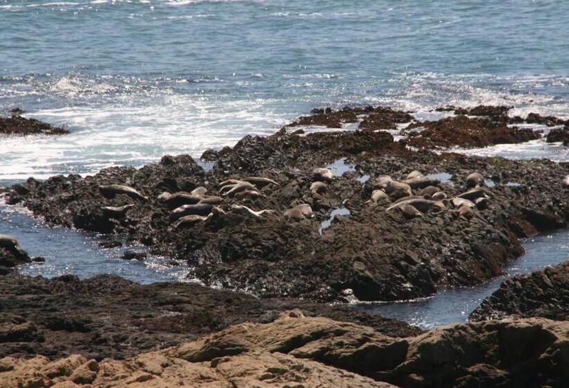 فندق صغير The Oceanfront Inn