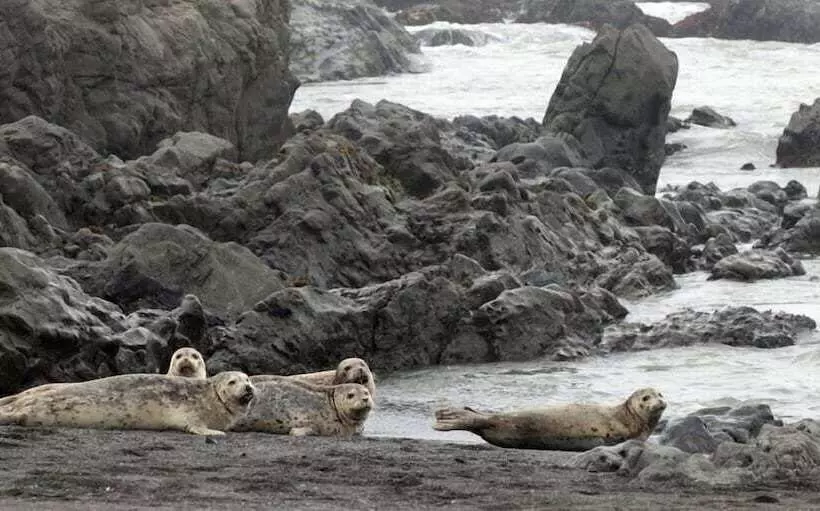 Retkeilymaja The Oceanfront Inn