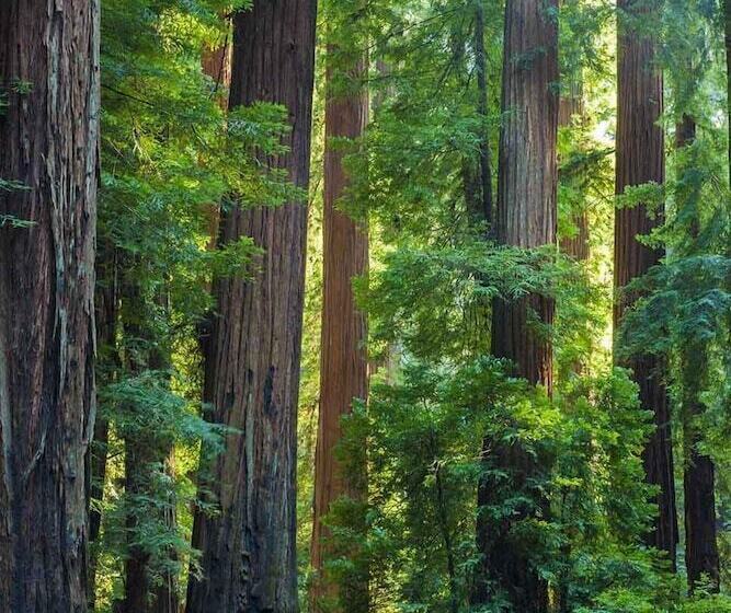 فندق صغير The Oceanfront Inn