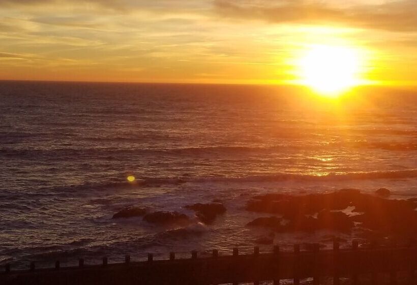 فندق صغير The Oceanfront Inn