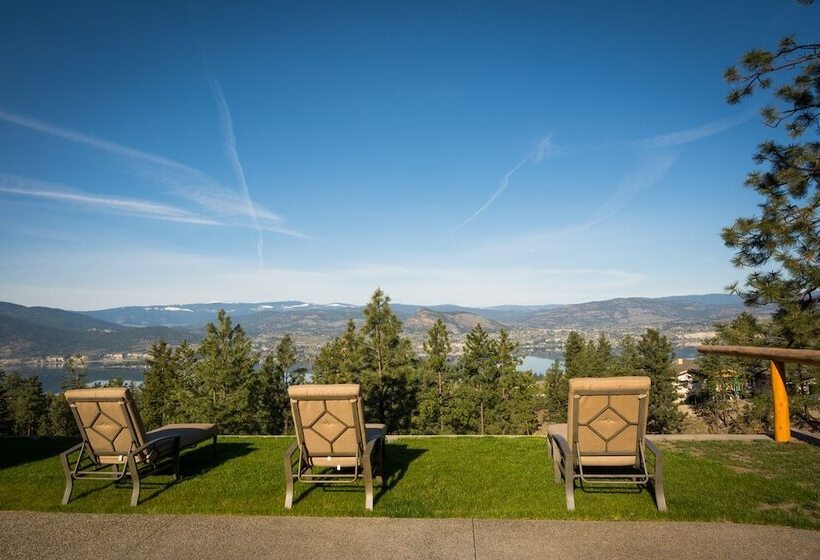 Aamiaismajoitus (B&B) Castlerock