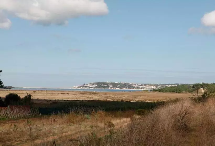 ベッドアンドブレックファースト Cavalo De Madeira