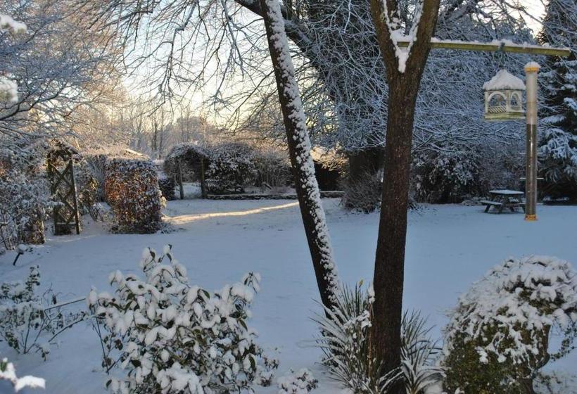 Nocleg ze śniadaniem Elmfield