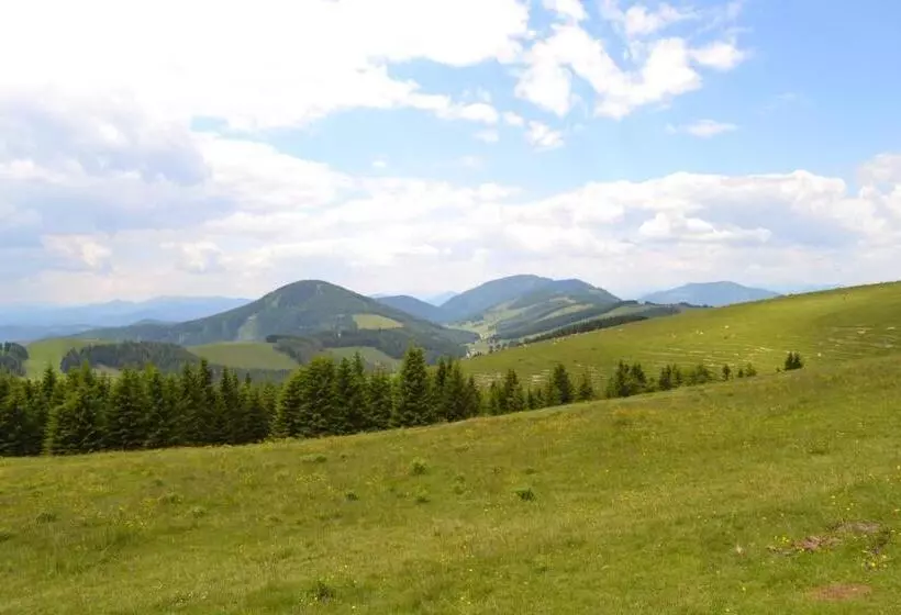 Gasthof Pension Schweiger Jagawirt