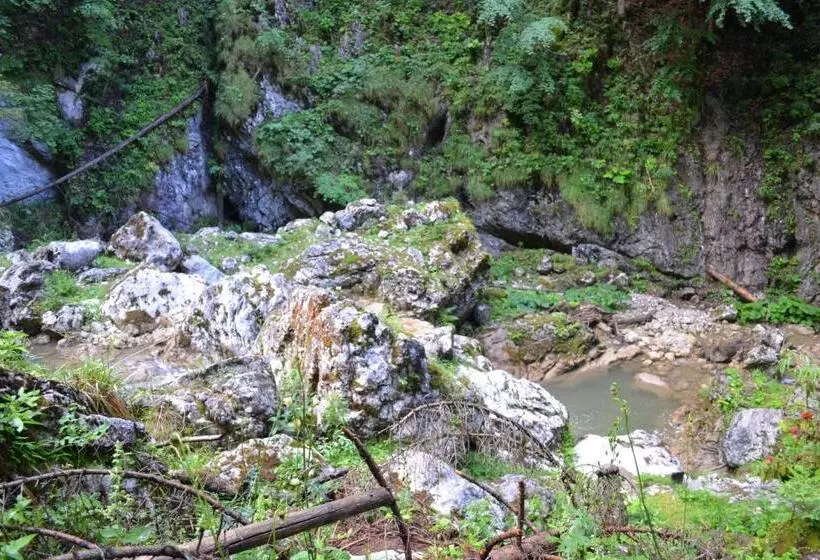 Gasthof Pension Schweiger Jagawirt