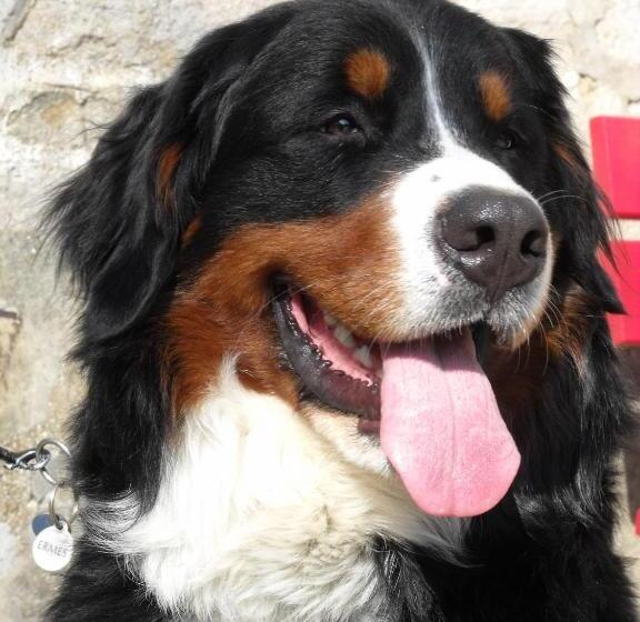 Отель La Roche Du Marais