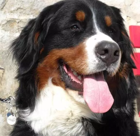 Hotelli La Roche Du Marais