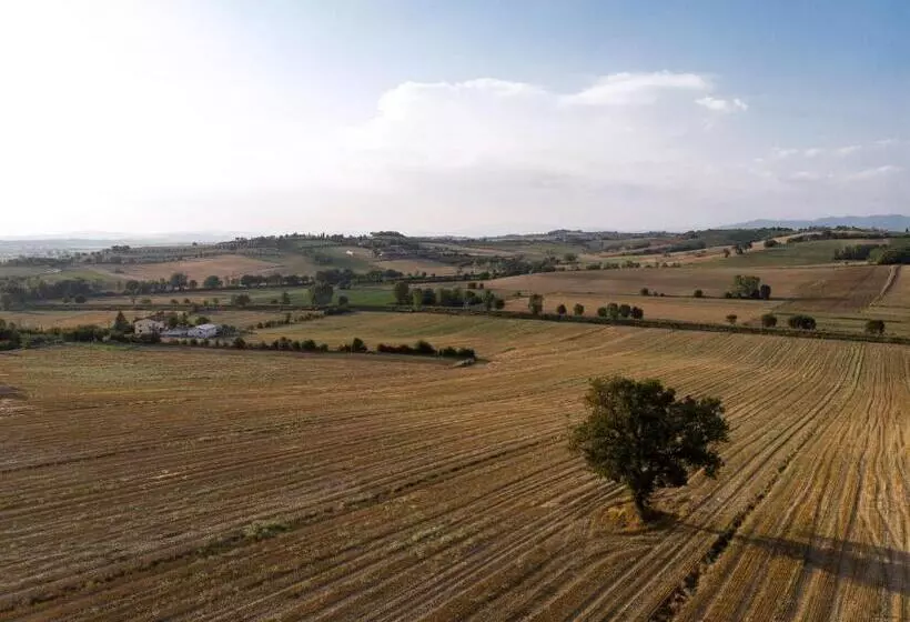 ホテル Poggio Martino