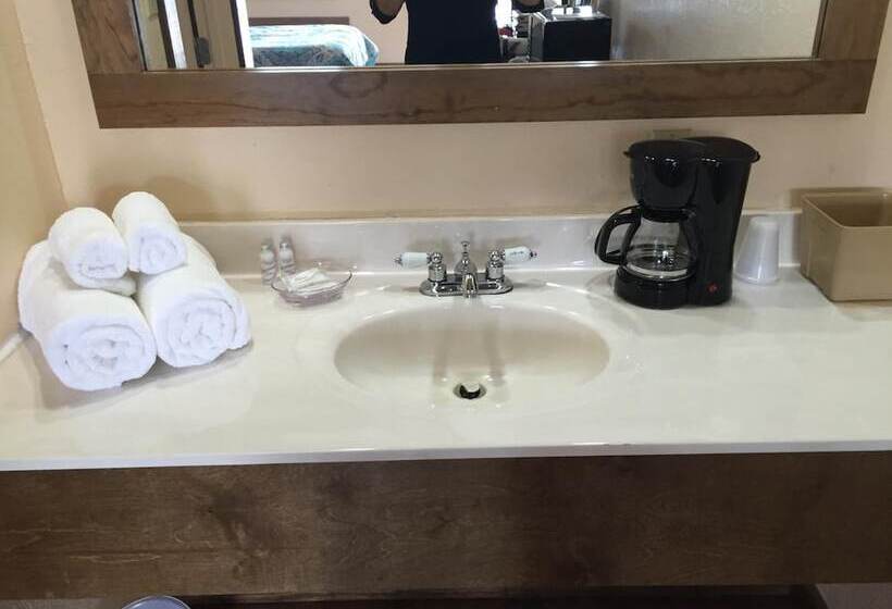 汽车旅馆  Gators Inn On The Bayou