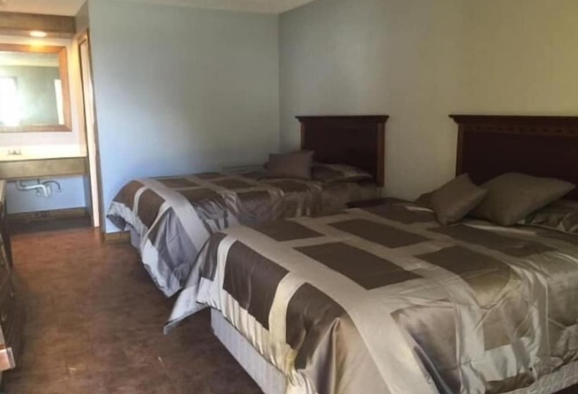 汽车旅馆  Gators Inn On The Bayou