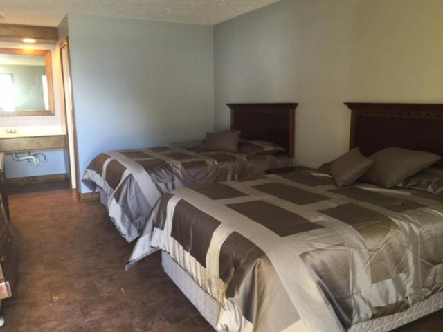 汽车旅馆  Gators Inn On The Bayou