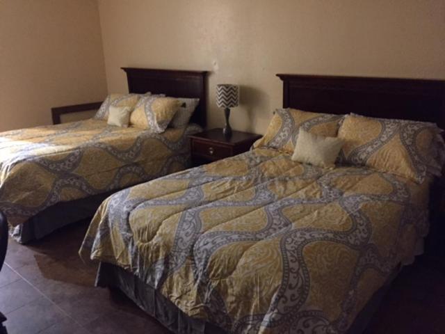 汽车旅馆  Gators Inn On The Bayou