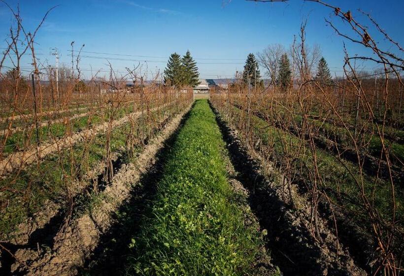 מוטל Savannah House Wine Country Inn & Cottages