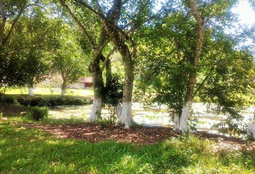 펜션 Fazenda Terra Ramos