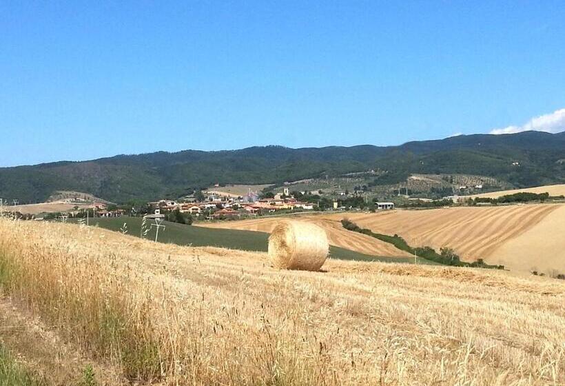 Residence Giuly Rosselmini