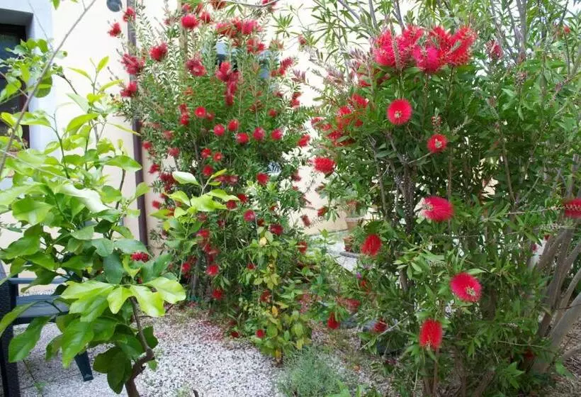 Residence Giuly Rosselmini