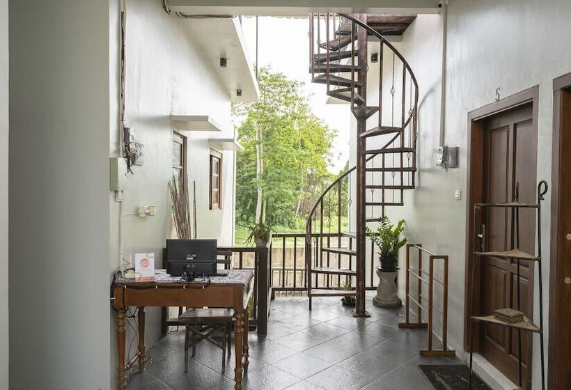 旅馆 Panen House By Oyo Rooms