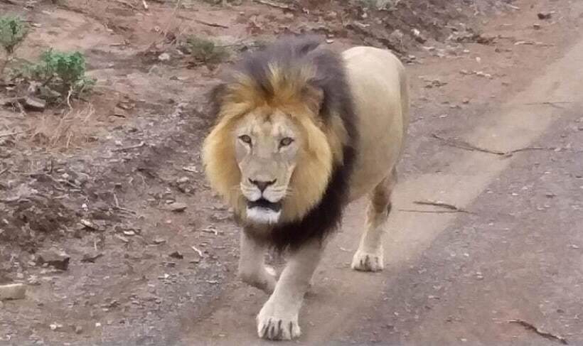 ベッドアンドブレックファースト Addo Riverside Villa