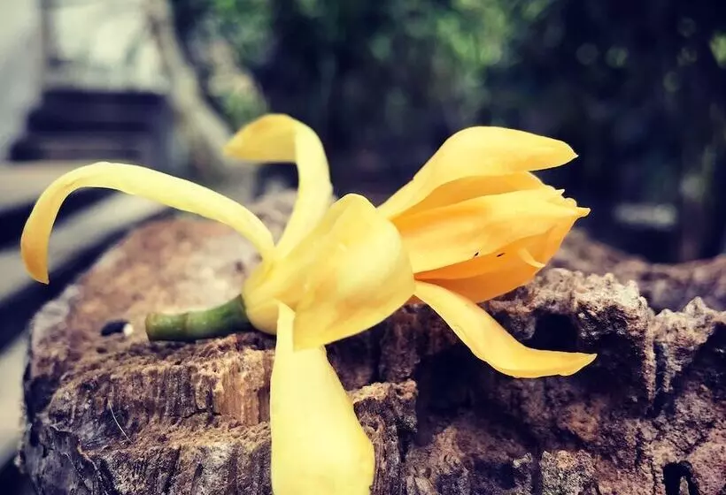 Aamiaismajoitus (B&B) El Homestay Bali