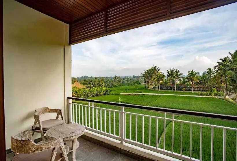 Aamiaismajoitus (B&B) Paon Desa Ubud