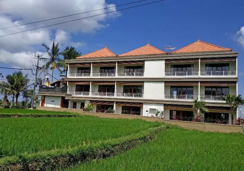 Aamiaismajoitus (B&B) Paon Desa Ubud