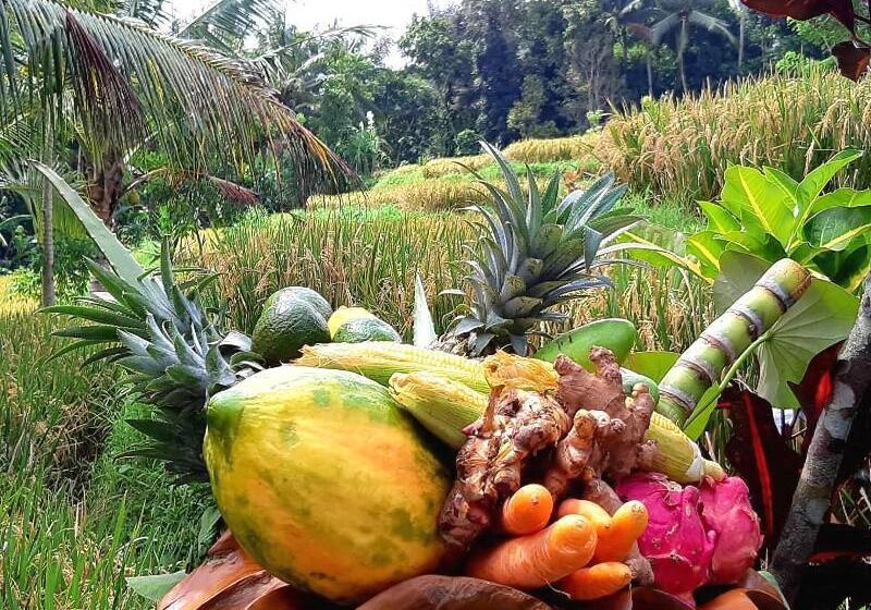 مبيت وإفطار Puri Raya Villa Ubud