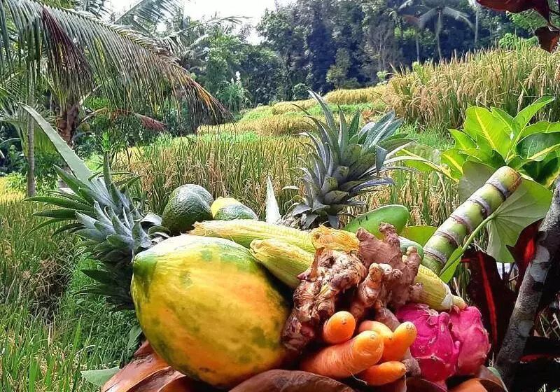 ベッドアンドブレックファースト Puri Raya Villa Ubud