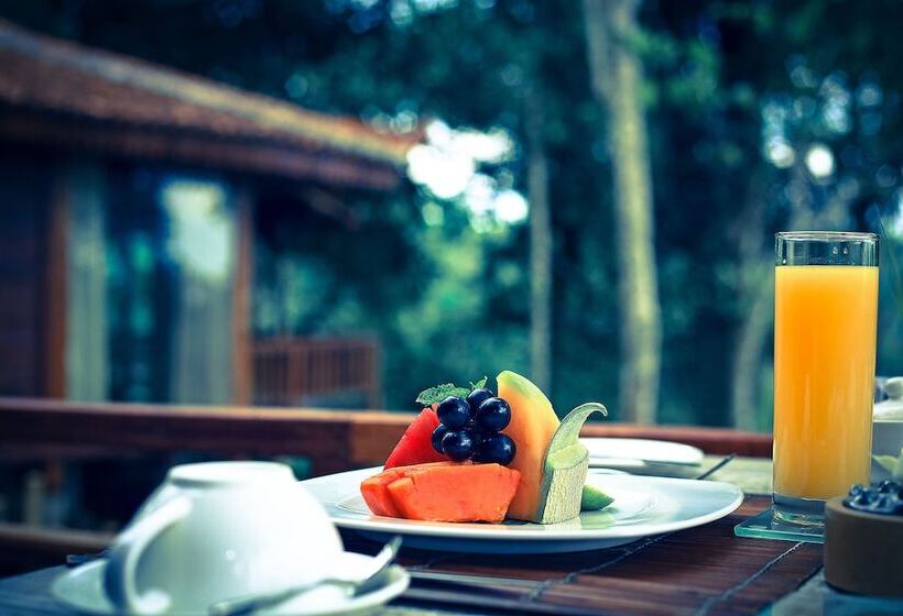 住宿加早餐 Sunia Jungle