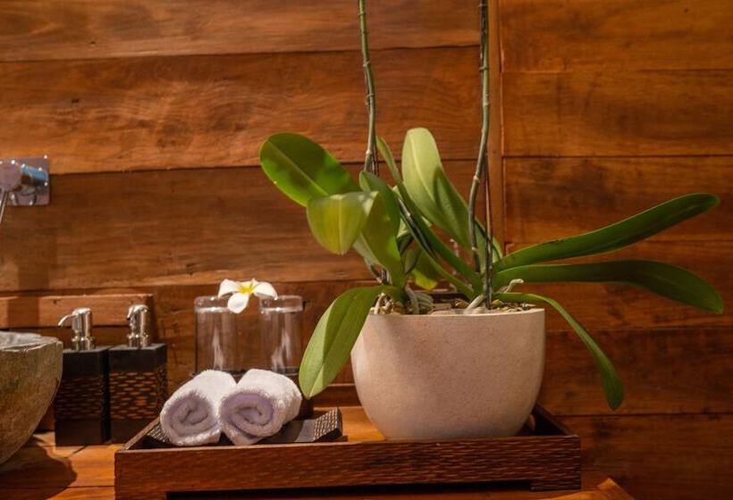 住宿加早餐 Sunia Jungle