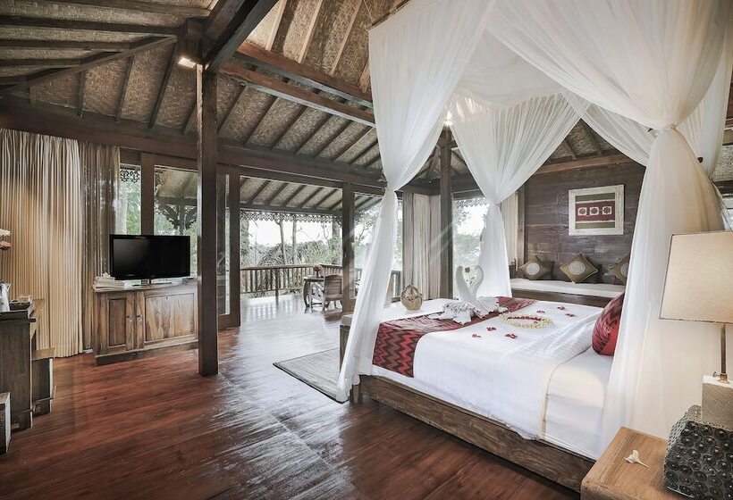 住宿加早餐 Sunia Jungle