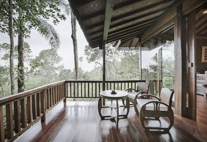 住宿加早餐 Sunia Jungle