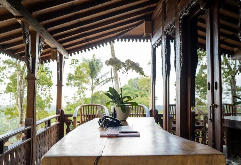 住宿加早餐 Sunia Jungle