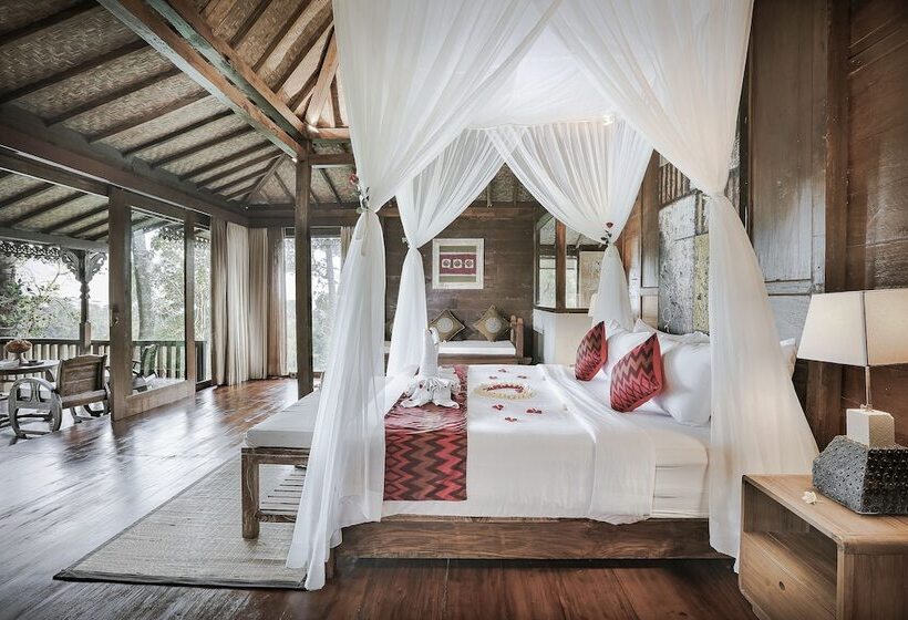 住宿加早餐 Sunia Jungle