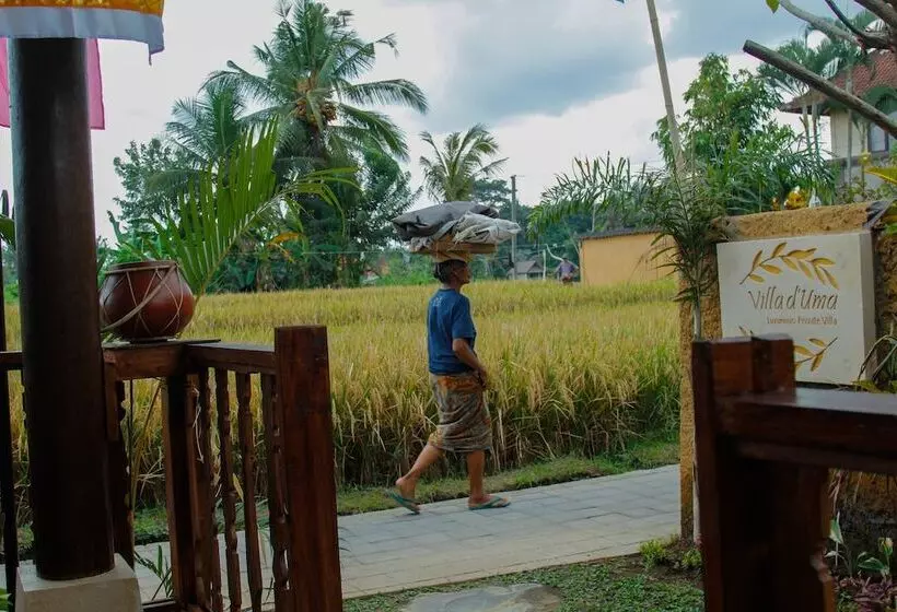 Aamiaismajoitus (B&B) Villa D'uma