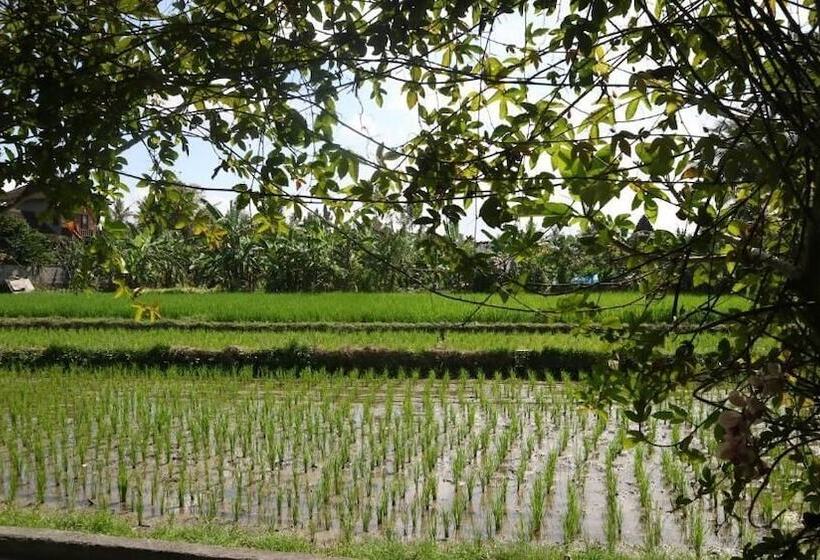 住宿加早餐  Villa D'uma