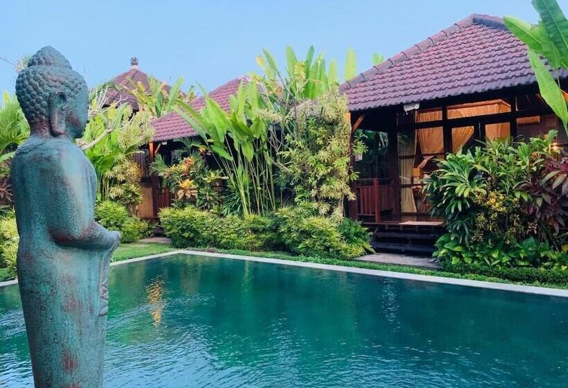 住宿加早餐  Villa D'uma