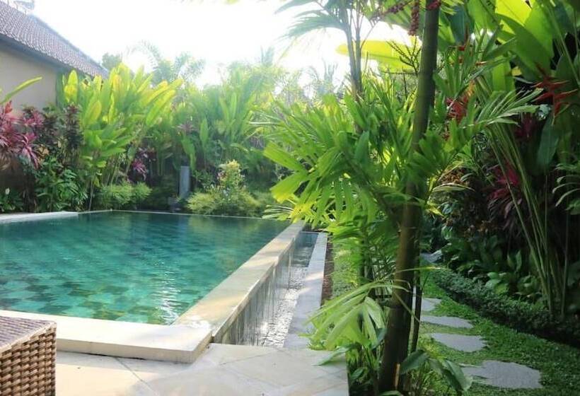 住宿加早餐  Villa D'uma