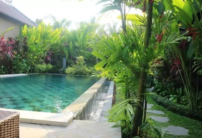 Aamiaismajoitus (B&B) Villa D'uma