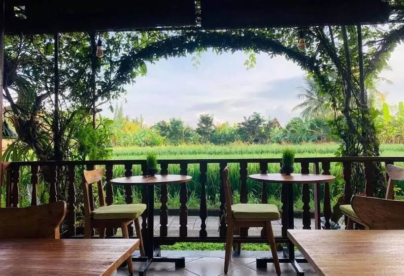 Aamiaismajoitus (B&B) Villa D'uma