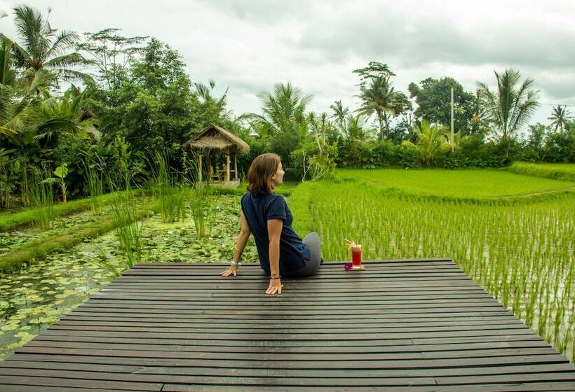 酒店 De Klumpu Bali Eco Tradi Stay