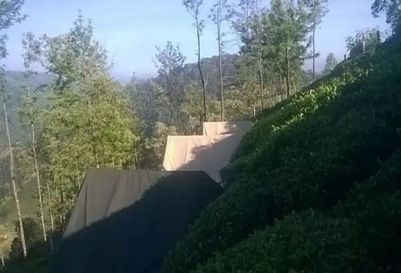 ホテル Janardan Tea Resort   Campsite