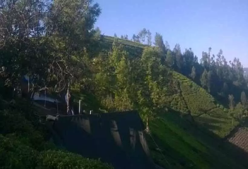 ホテル Janardan Tea Resort   Campsite