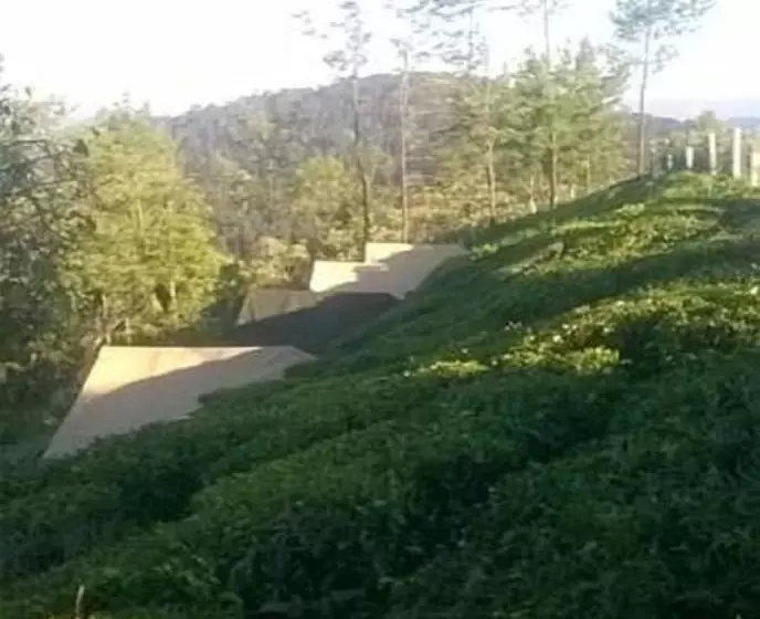 ホテル Janardan Tea Resort   Campsite