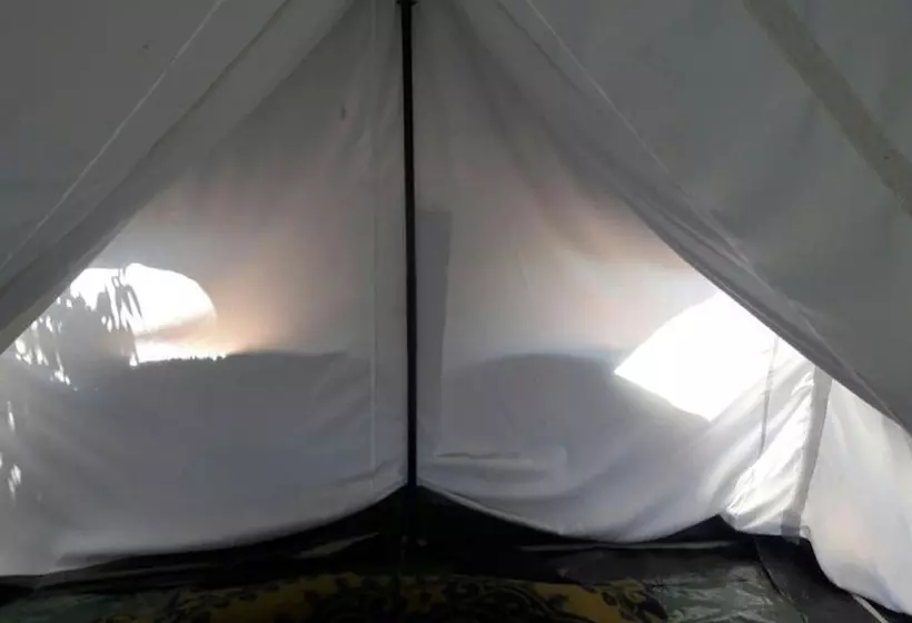 ホテル Janardan Tea Resort   Campsite