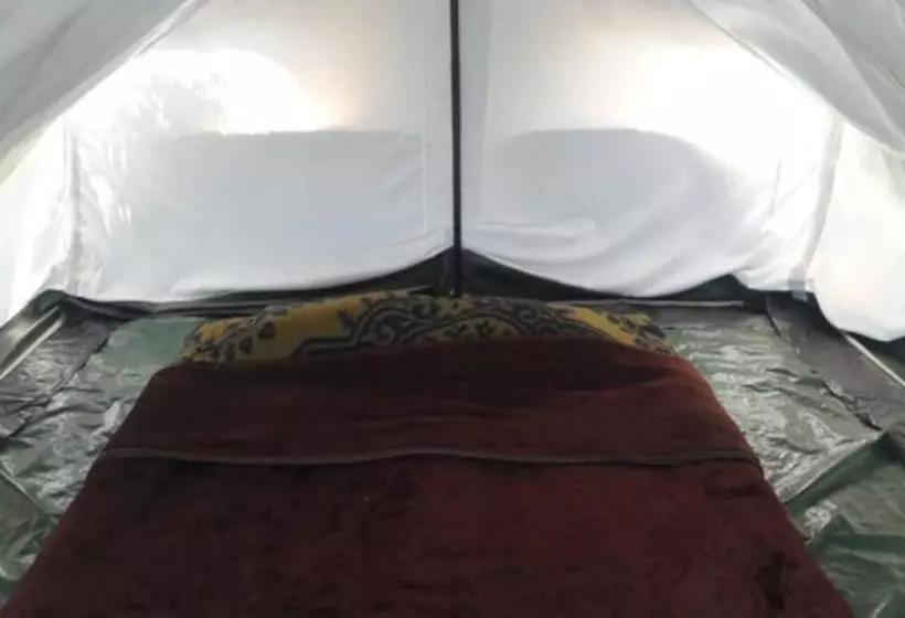 ホテル Janardan Tea Resort   Campsite