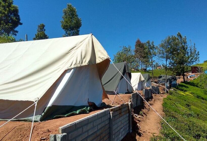 Hotel Janardan Tea Resort   Campsite